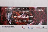 Fragmenty pr&iacute;rody - v&yacute;stava Eriky Gregu&scaron;ovej